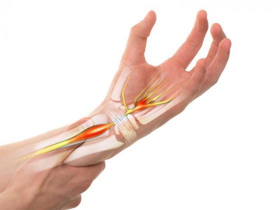 anatomy picture of hand and wrist